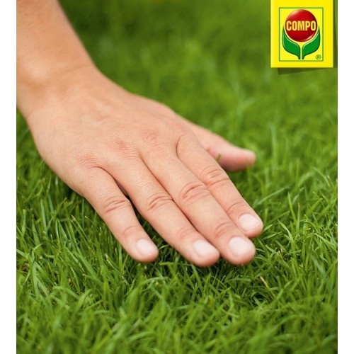 Мінеральне добриво Compo(Компо), 2кг, для газону (Весна-Літо) 2