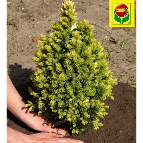 Субстрат для хвойных  растений 40 л, Compo(Компо), 2255 3