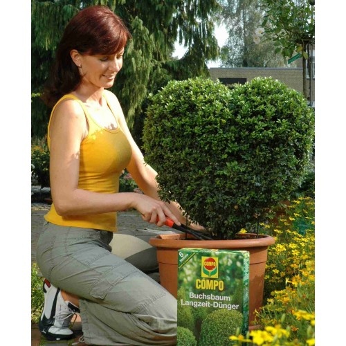 1580 Тверде добриво для буксус 850 г 2