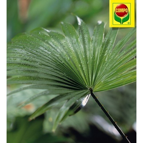 Полироль для листьев, 300 мл, Compo (Компо), 4025 3