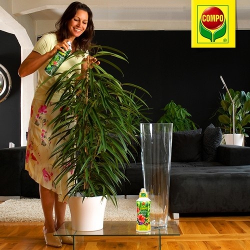 Полироль для листьев, 300 мл, Compo (Компо), 4025 2