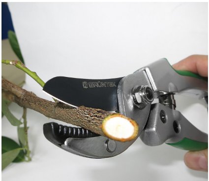 Секатор TUKAN 195мм, d18мм з наковаленкой 295195180 2