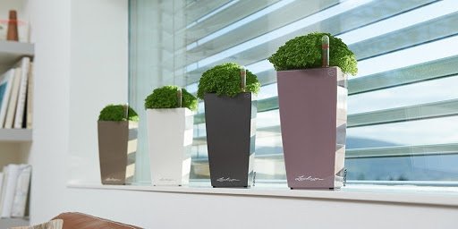 Розумний горщик Lechuza Maxi-Cubi білий, 14x14x26 см (18050) 7