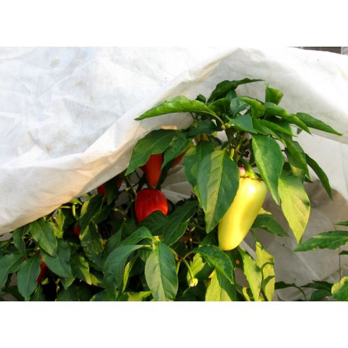 Агроволокно біле 30 UV, 3.2х10 м, Agreen 5