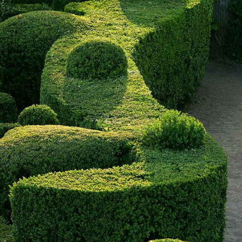 Комплексне добриво для живоплоту Agrecol NPK 9.8.12, 1,2 кг (230) 2