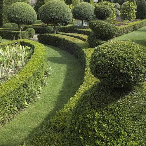 Комплексне добриво для живоплоту Agrecol NPK 9.8.12, 1,2 кг (230) 3