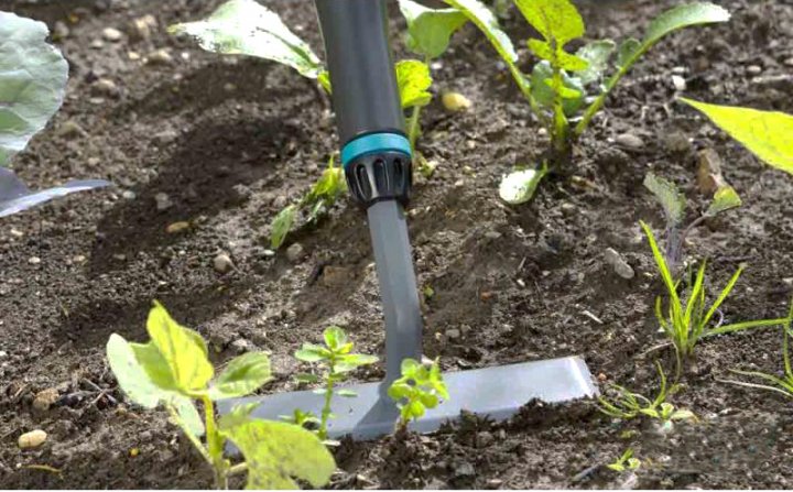 Мотика з ручкою Gardena NatureLine для коренеплідних, 14 см (17112) 2