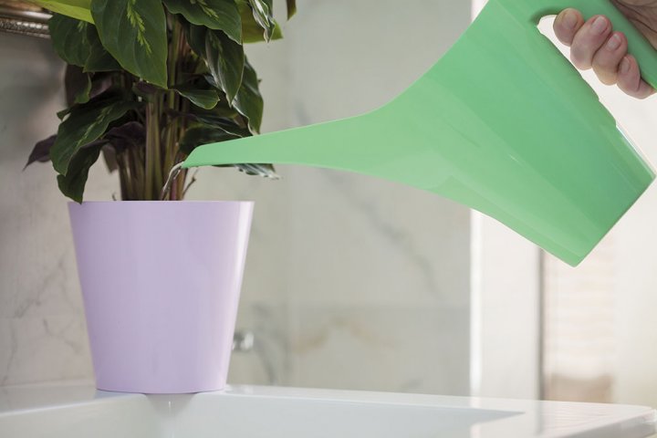 Лейка для цветов FormPlastic 1,2 л нефрит (3200-067) 3