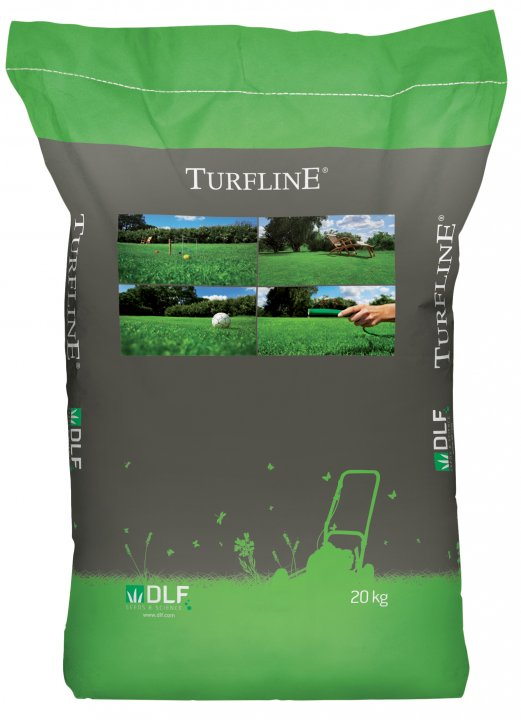 Газонна трава тіньова Turfline Shadow, 20 кг, DLF Trifolium