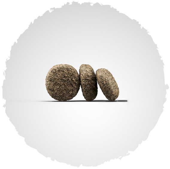 Сухий корм Josera Mini Junior для цуценят міні порід, з качкою і рисом, 900 г 2