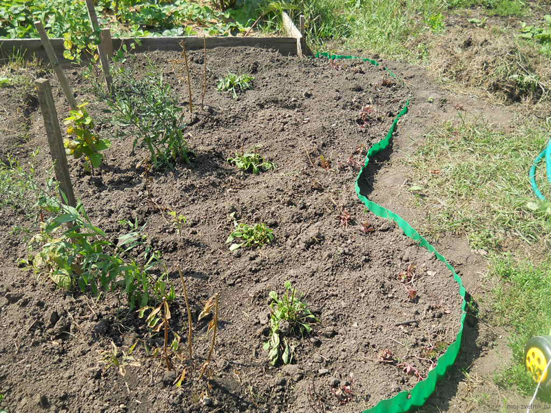 Бордюрна стрічка для газону FLO 9 м / 15 см, зелена (88701) 5