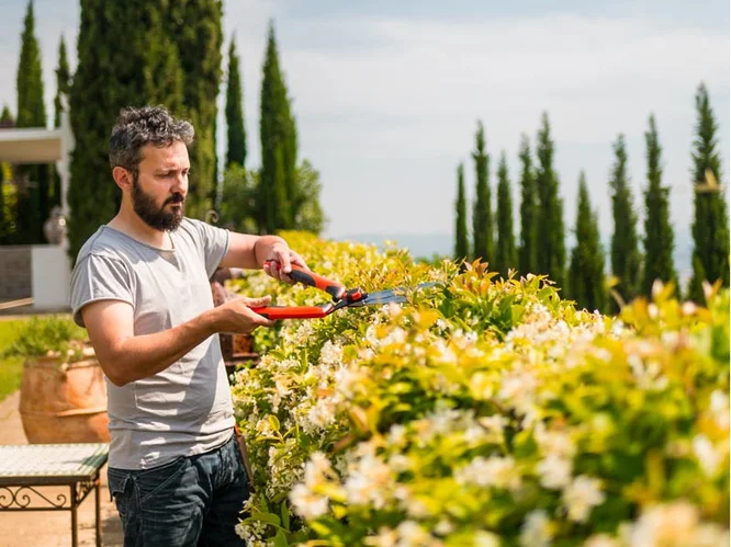 Ножиці садові Stocker Hobby 55 прямі леза (20025) 2