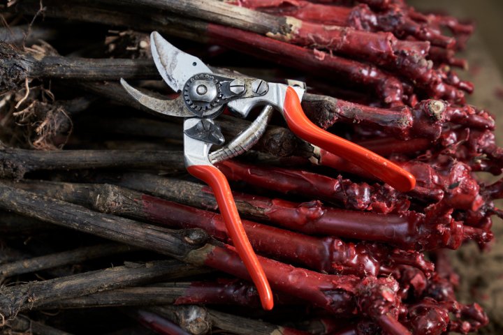 Секатор садовый Felco 14 3