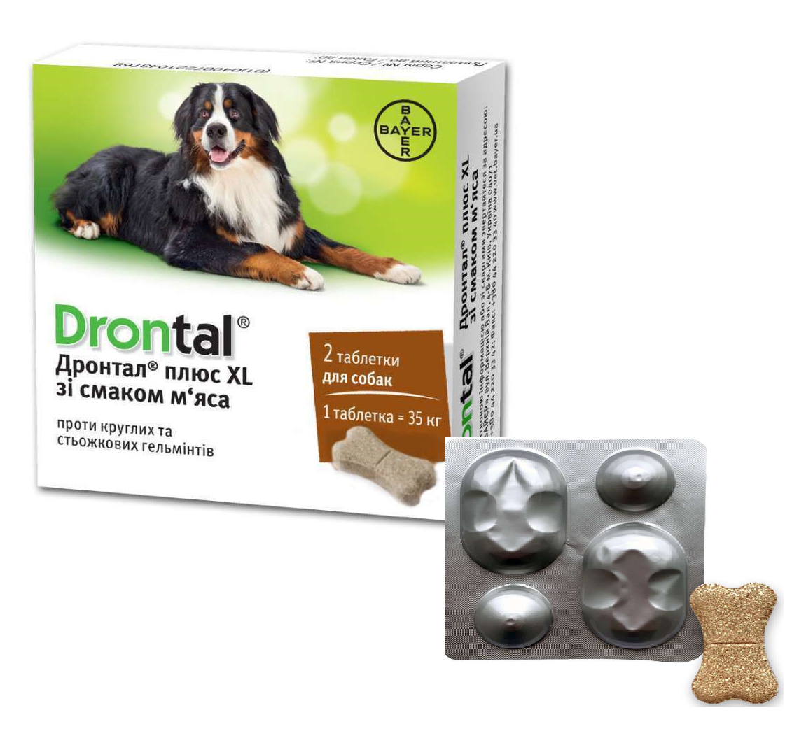 Протиглистовий препарат Bayer Drontal plus XL для собак, 1 таблетка (поштучно)