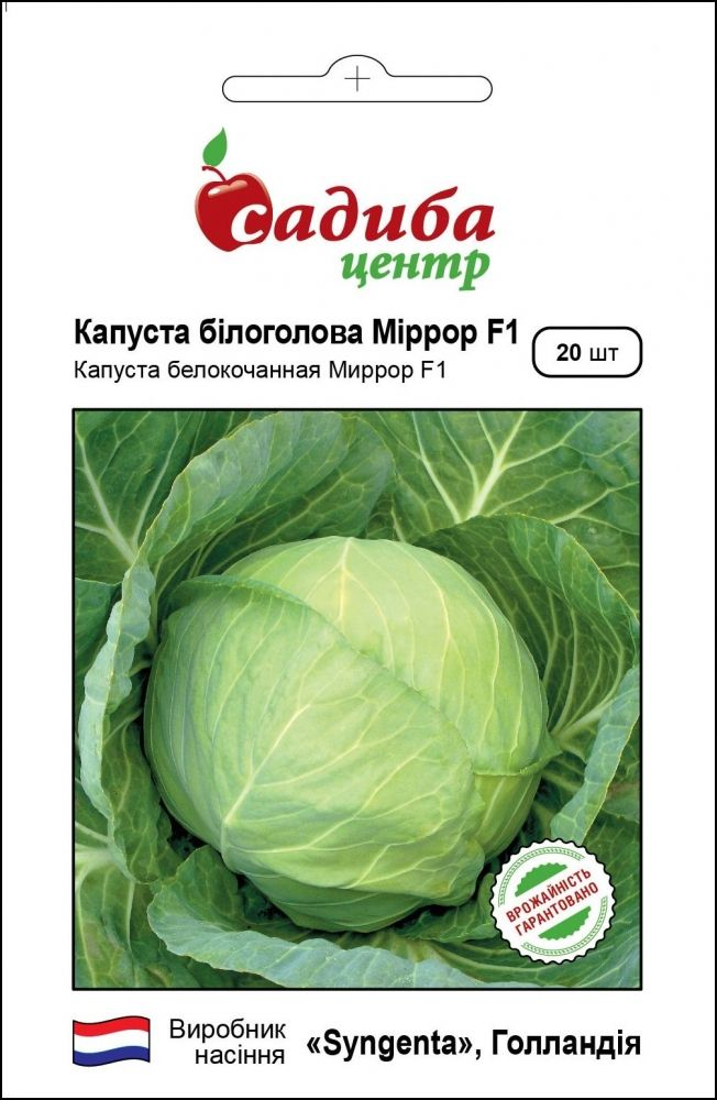 Насіння капусти Мирор F1, 20шт, Syngenta, Голландія, насіння Садиба Центр