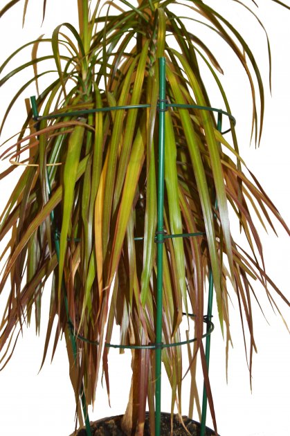 Поддержка Elsa для растений 3 кольца 60 см (IFR-60) 3