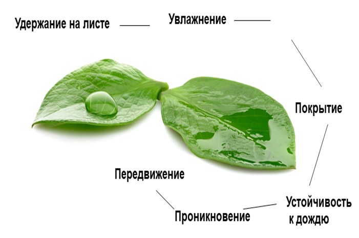 Адъювант Тион, Киссон, 1 л 2