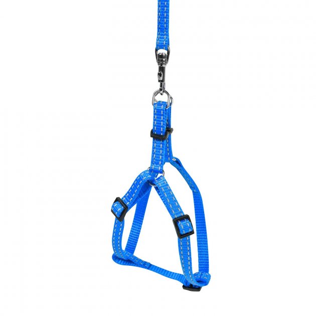Шлея з повідцем Collar Dog Extreme, 10 мм / 110 см, А: 20-30 см, В: 25-40 см (4285 2) 2