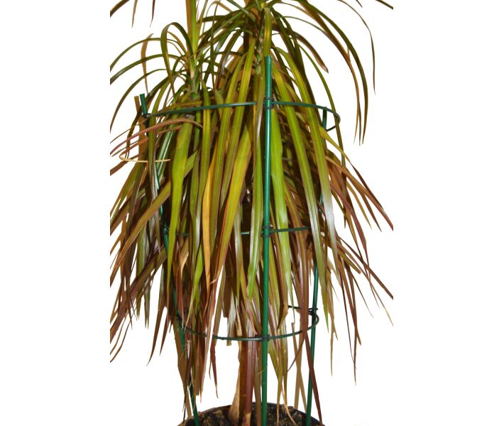 Підтримка для рослин Elsa, 3 кільця, 120 см (IFR-120) 4