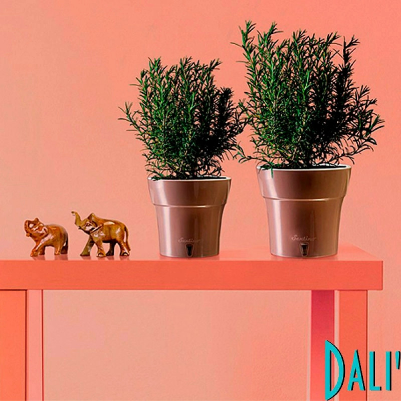 Горщик з автополивом Santino DALI, 3.5 л Шаде-білий (DAL35SHD/WHT) 2