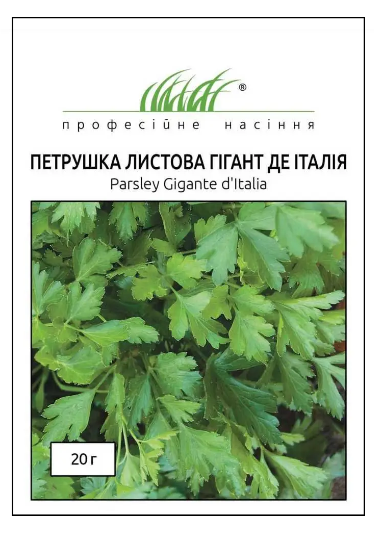 Насіння петрушки Гігант де Італія, 20 г, Tezier, Франція, Професійне насіння