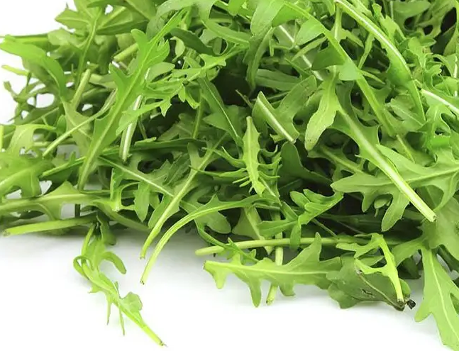 Насіння руколи Вайлд Сільветта, 1 г, Anseme, Італія, Професійне насіння 2