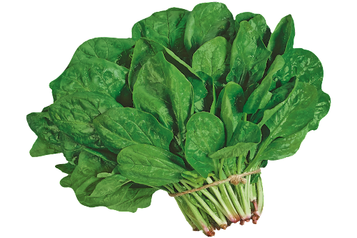 Насіння шпинату Спірос, 2г, Bejo, Голландія, Професійне насіння 2