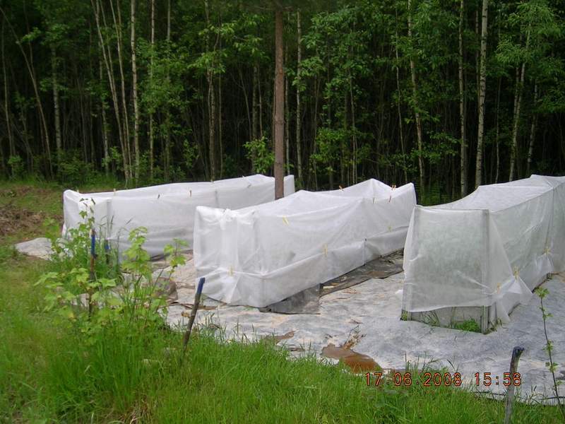 Агроволокно белое Growtex 42 UV, 1.6x10 м 5