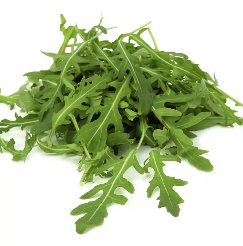 Семена рукколы (рокет-салат), 20 г, Hem, Голландия, Професійне насіння 2