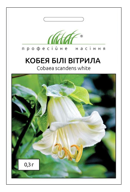 Семена кобеи Белые паруса, 0.3 г, Hem, Голландия, Професійне насіння 1