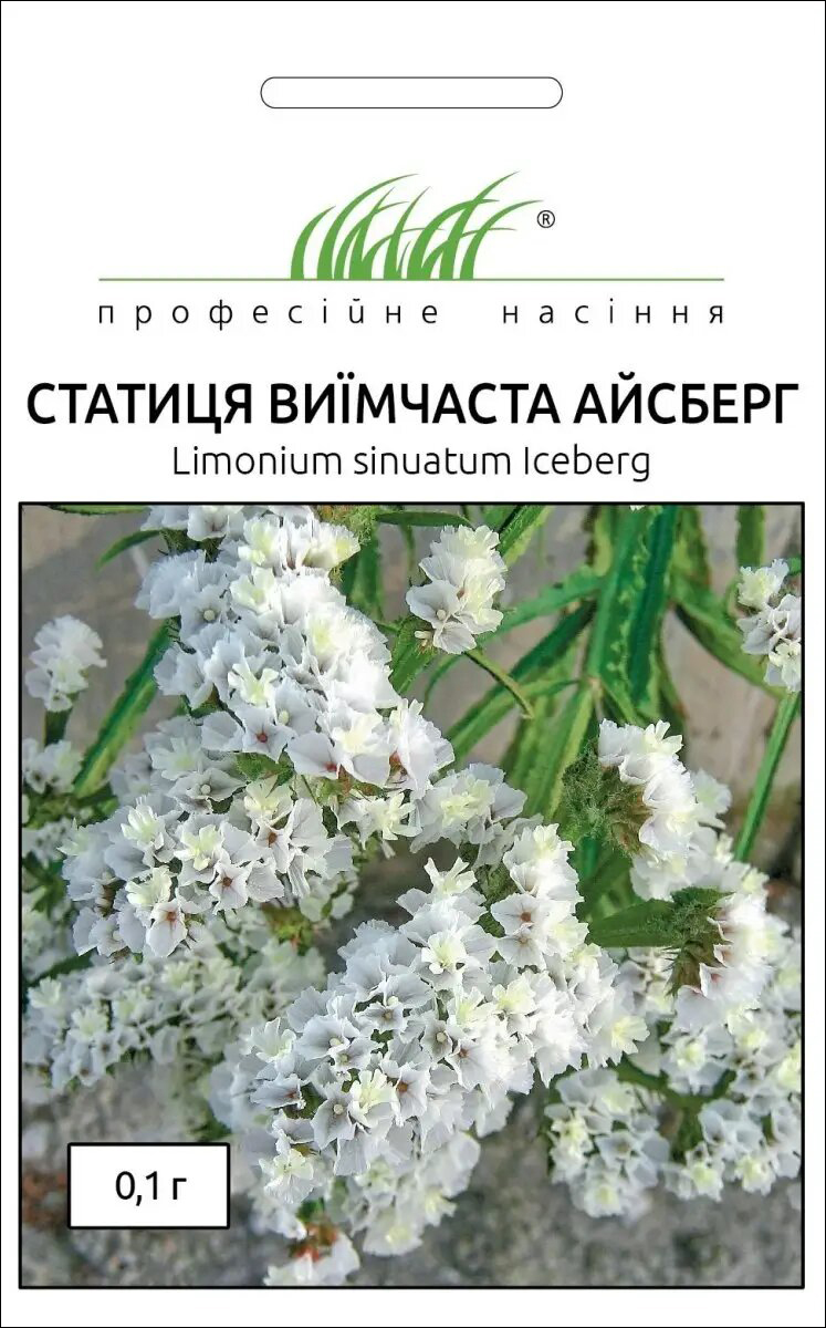 Насіння статіці виїмчатої Айсберг, 0.1 г, Hem, Голландія, Професійне насіння