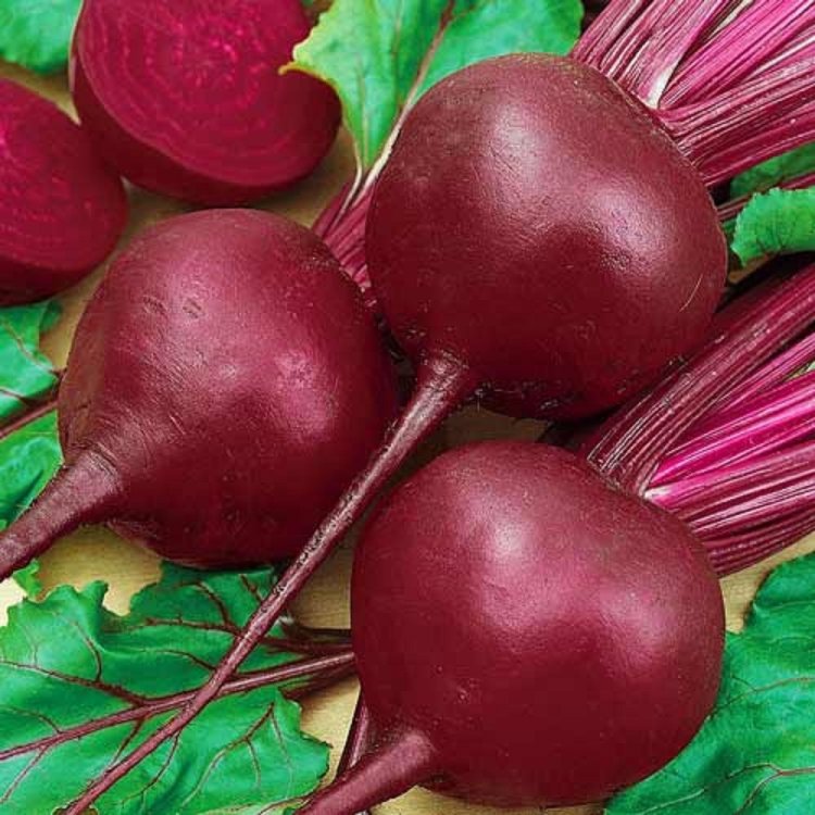 Набір насіння Борщ Seedera, 11 г 2