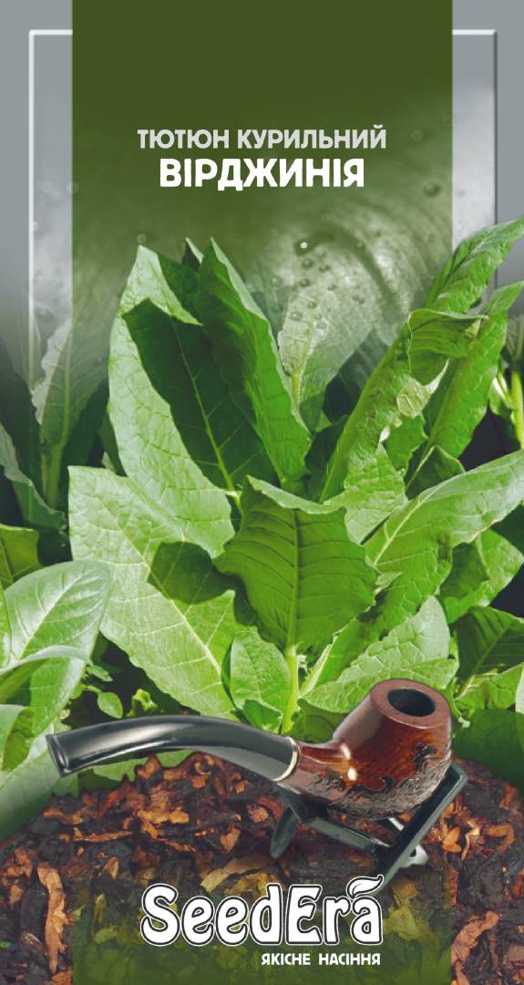 Насіння тютюну курильного Вірджинія Seedera, 0.05 г