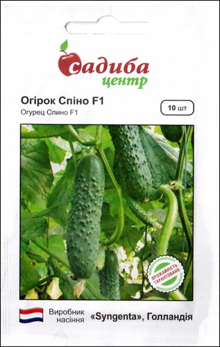 Насіння огірка Спино F1, 10шт, Syngenta, Голандія, насіння Садиба Центр