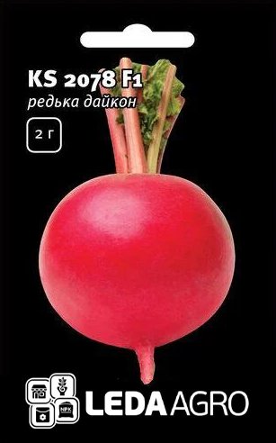 Насіння редьки KS 2078 F1, 2 г, Kitano, Голландія, Леда Агро 1