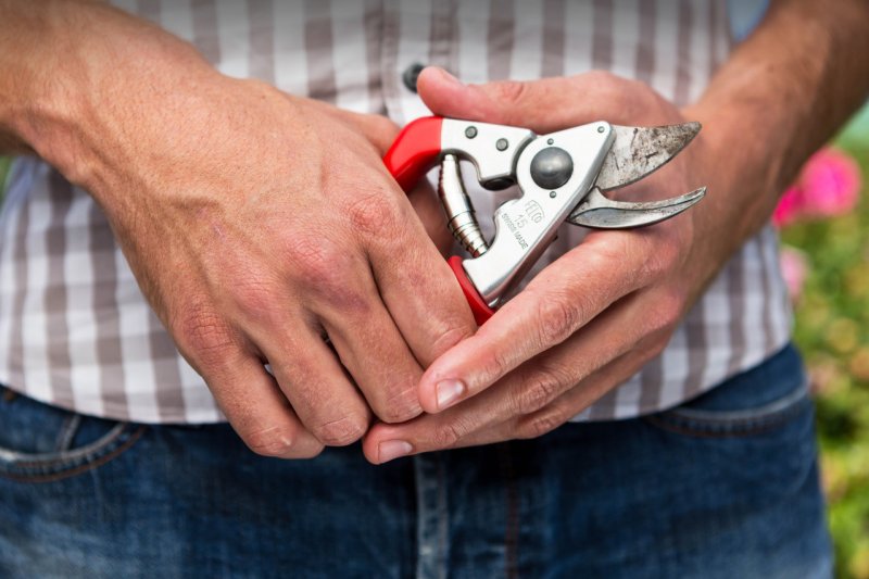 Садовий секатор Felco 15 2