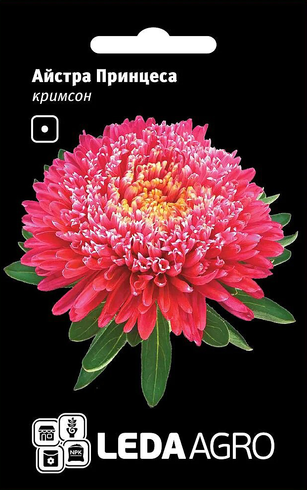 Насіння айстри Принцеса Кримсон, хрізантемовідная, 0.2 г, насіння Леда Агро