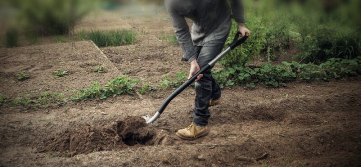 Лопата із закругленим лезом Fiskars Ergonomic (1001411) 3