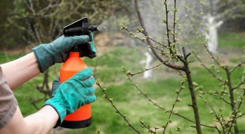 Фунгицид Медный купорос Бордо, 100 г 2