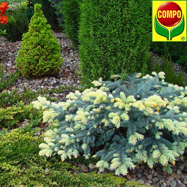 Субстрат для хвойних 40 л, Compo Sana (Компо), 1621 2