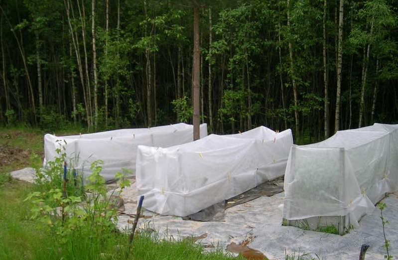 Агроволокно 42 UV, біле, 1.6х10м, Agreen 5