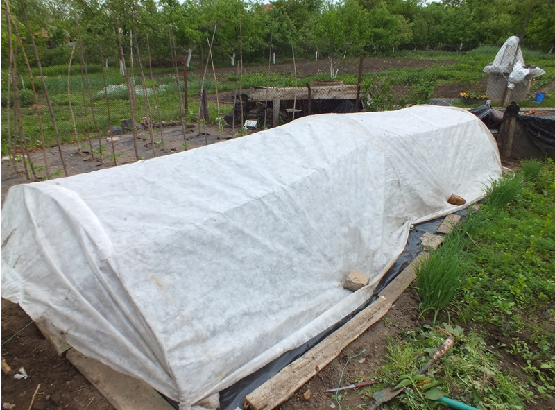 Агроволокно 42 UV, біле, 1.6х10м, Agreen 4