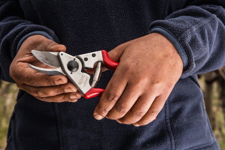 Секатор, Felco, 16 2