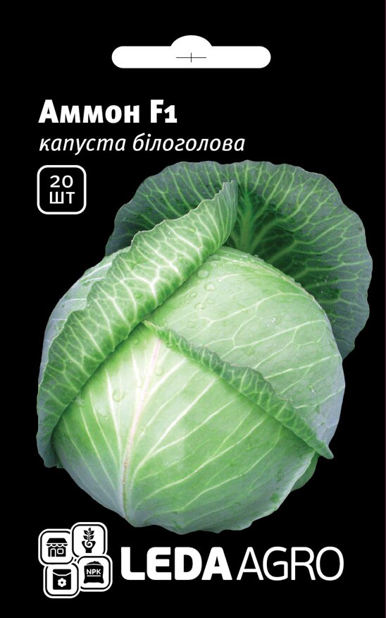 Семена капусты Аммон F1, 20шт, Seminis, Голландия, семена Леда Агро