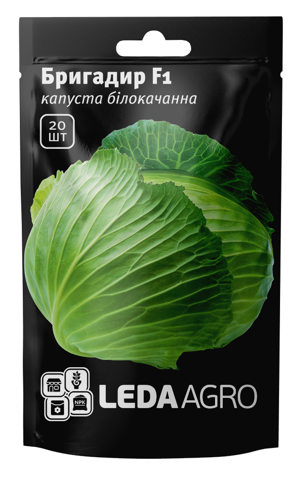Насіння капусти Бригадир F1, 20шт, Clause, Франція, насіння Леда Агро