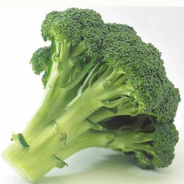 Насіння капусти броколі Монако F1, 10шт, Syngenta, Голландія, насіння Леда Агро 2