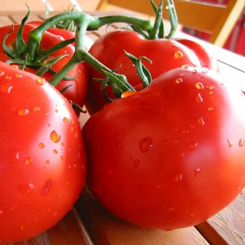 Насіння томату Полбіг F1, 0,05г, Bejo, Голландія, Леда Агро 2