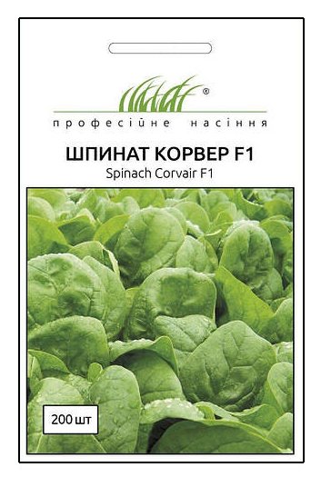 Насіння шпинату Корвер, 2г, Професійне насіння 1