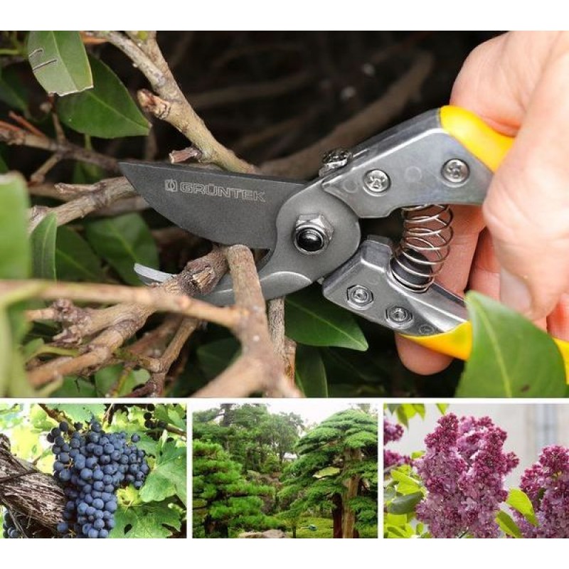 Секатор Phoenix 200мм, d18мм, 295200018 4