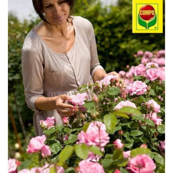 Комплексне мінеральне добриво для троянд тривалої дії, 0.85кг, Compo(Компо), 1574 2